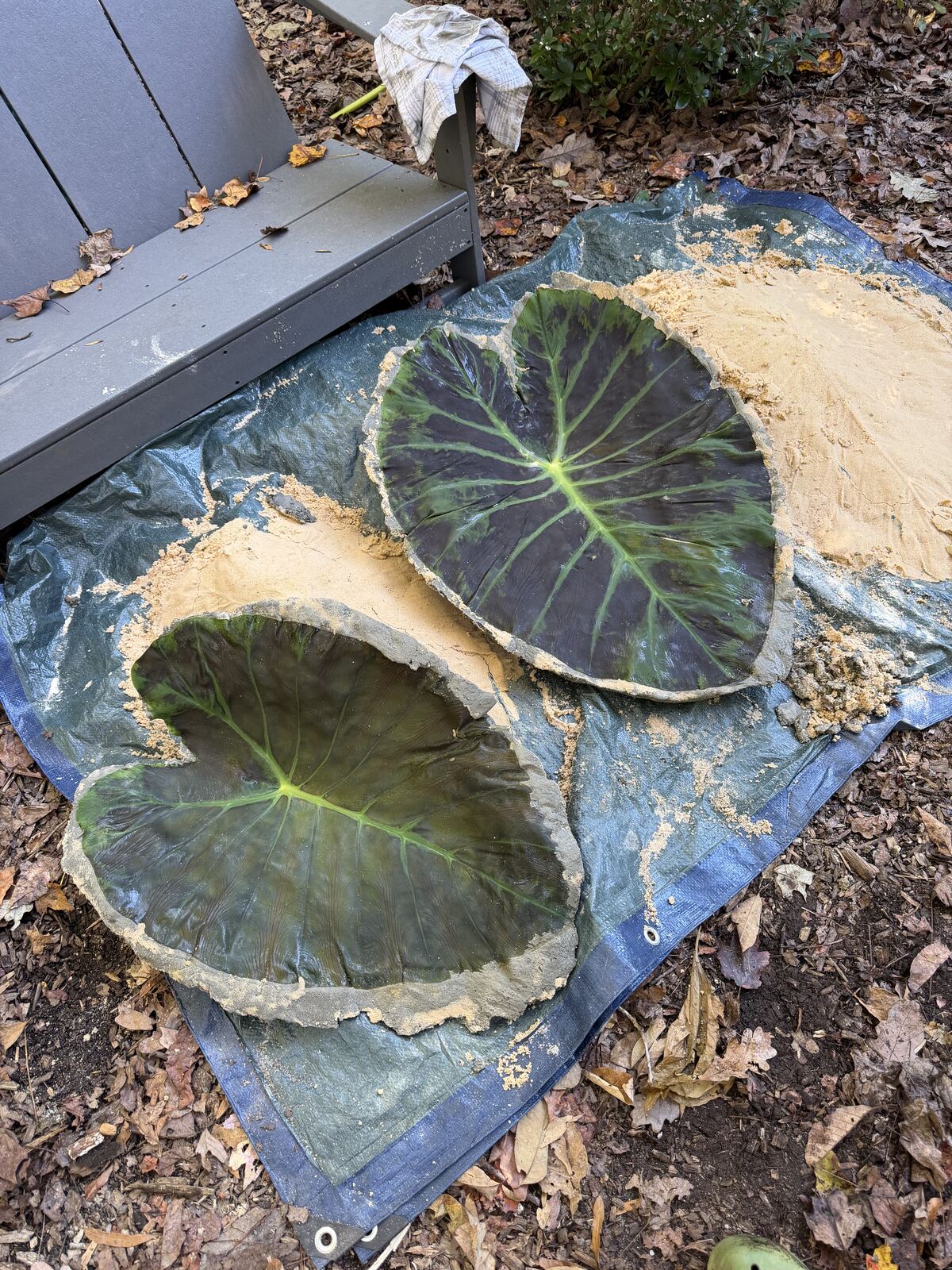 Two hardened concrete casts on a tarp the next morning, leaves still embedded